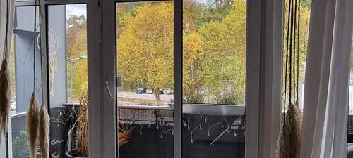 20251024_155856.jpg - 