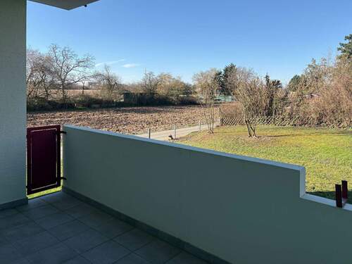 Balkon - 3 Zimmer Etagenwohnung in Heidelberg