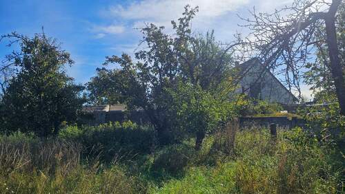 Garten 2.jpg - 