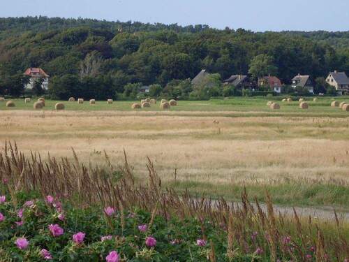 Landschaft Kloster - 