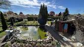 Gartenteich - 
