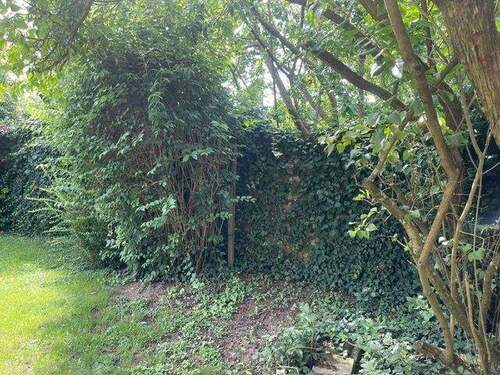 Garten - Grundstück in Wolfenbüttel