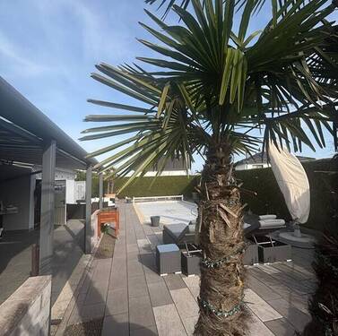Terrasse - 