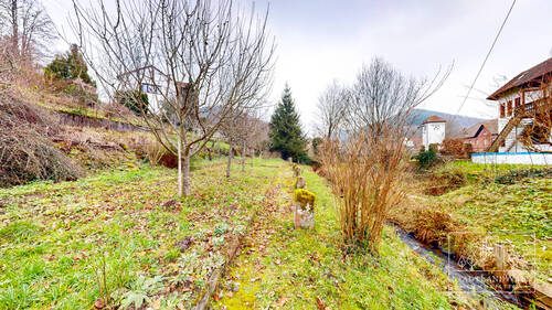 Garten mit Bachlauf - Einfamilienhaus mit 177,00 m² in Schönau (Pfalz) zum Kaufen