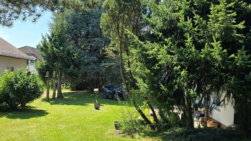 Garten vor Terrasse - 