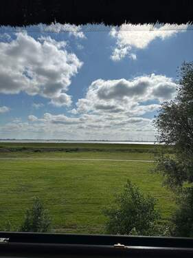 Blick zur Elbe - Grundstück zum Kaufen in Blomesche Wildnis