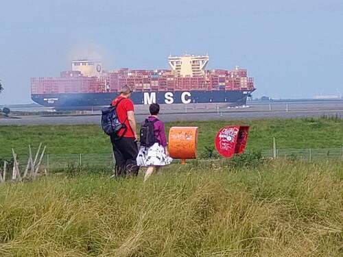 Blick zur Elbe - Grundstück in Blomesche Wildnis