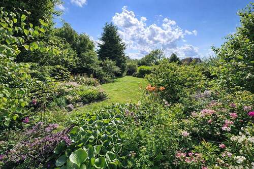 Blick in den Sommergarten - 