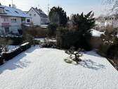 Garten im Winter - 