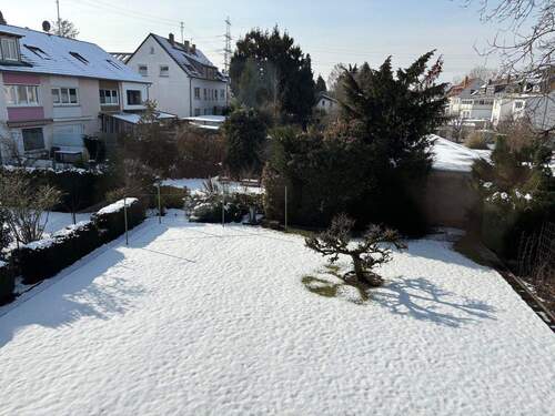 Garten im Winter - 