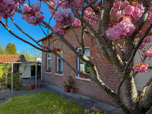 Außen - Einfamilienhaus mit 158,00 m&sup2; in Wangerland zum Kaufen