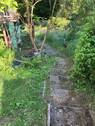 IMG_0257 - 