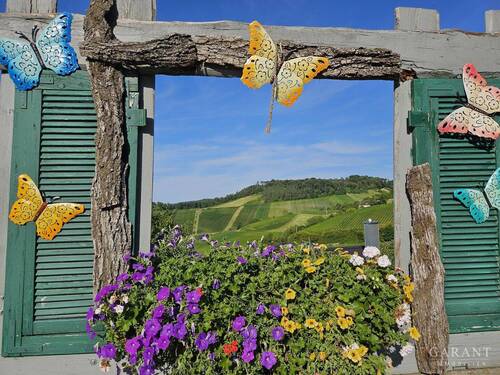 Weitblick - 