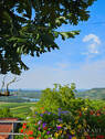 Weitblick - 
