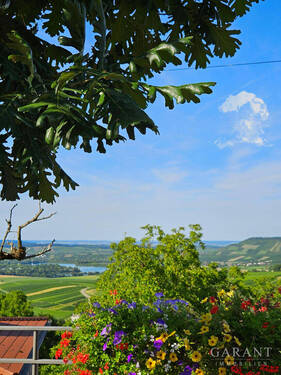 Weitblick - 