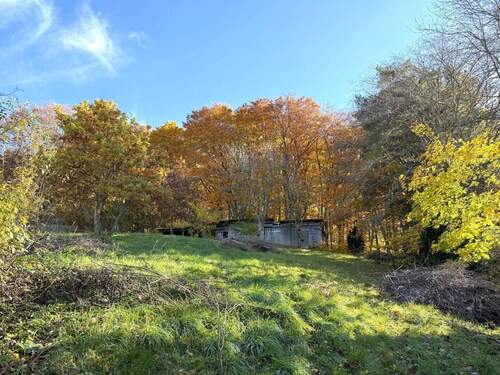 Am Waldrand Starnberg - Grundstück zum Kaufen in Starnberg