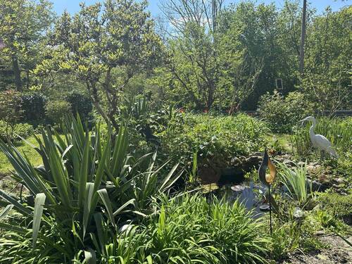 Garten - Haus mit Garten sucht neue Eigentümer