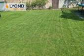 Garten (1) - 