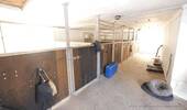 33 Stall (Pferdeboxen) - 