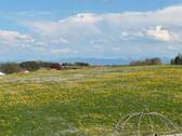 Bergblick vom Balkon - 