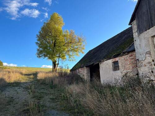 tempImageDSbqSQ.jpg - 