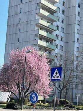 sehr schöne Grünanlage am Haus - 