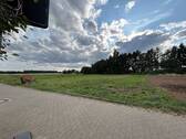 IMG_7647.jpeg - 