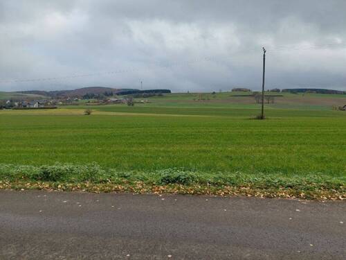 Bild2 - Grundstück zum Kaufen in Hersdorf
