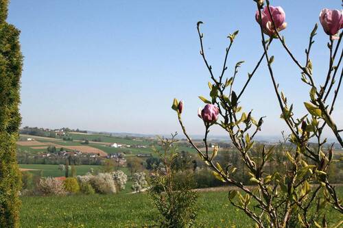 Aussichtsreich: der Garten - von privat: großzügig und stilvoll Wohnen im Grünen