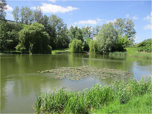 Parkanlage Ihlenpool - 