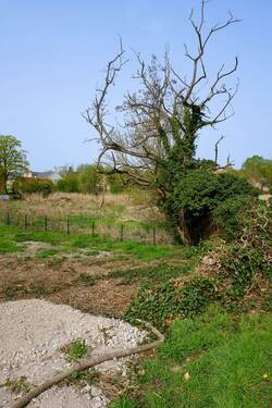 Bild 2 - Einfamilienhaus zum Kaufen in Brandenburg an der Havel
