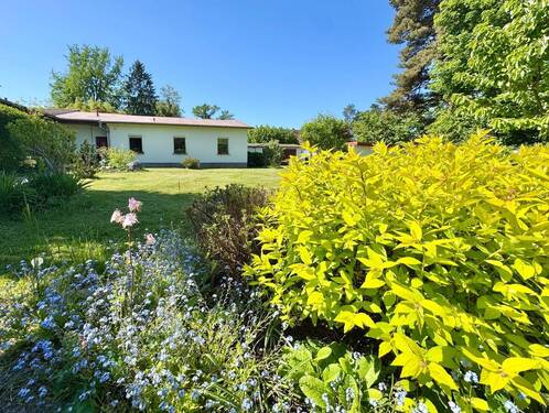 Bild 1 - Idyllische Haushälfte im Bungalowstil! Ca. 700 m² private Fläche in Pirna Copitz!