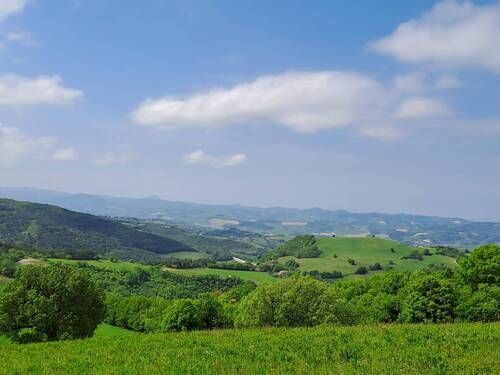 429952801_747797393994227_1047911112621836700_n.jp - 