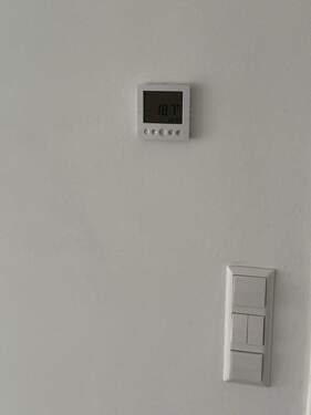 Digitaler Thermometer - 