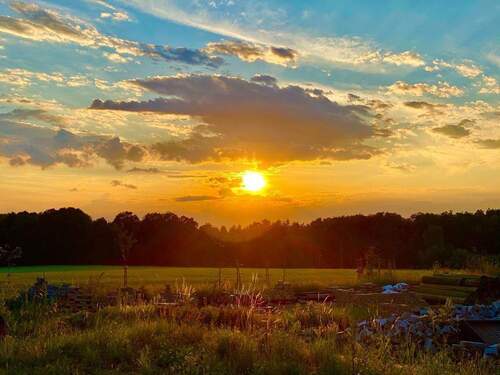 vord. Terrasse, Blick abends - 