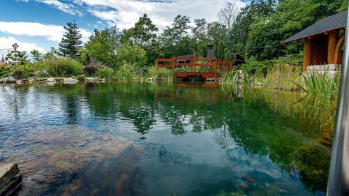 Schwimmteich - 