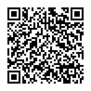 QR-Code - 