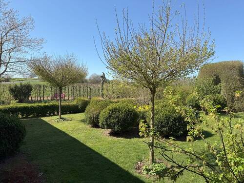 Gartenansicht - 