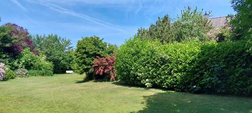 Ihr großzügiger Garten im Sommer - 