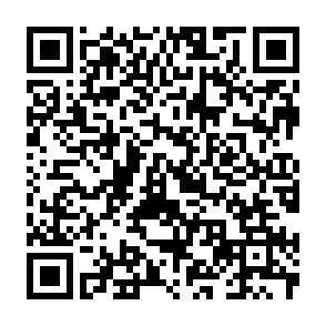 QR-Code - 