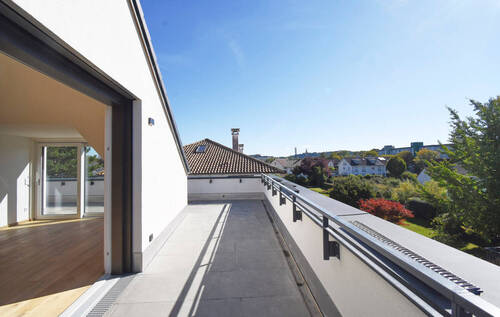 Freier Blick - 