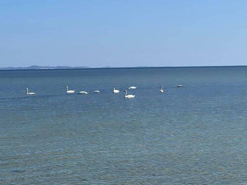 Schäne Rosengarten - 