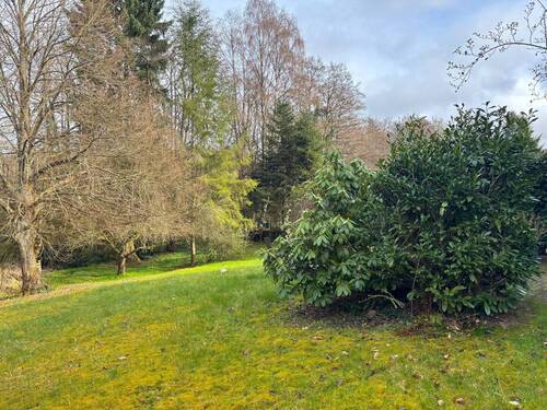 Grundstücksansicht - 4 Zimmer Etagenwohnung zum Kaufen in Hachenburg / Altstadt