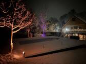 Winter - 