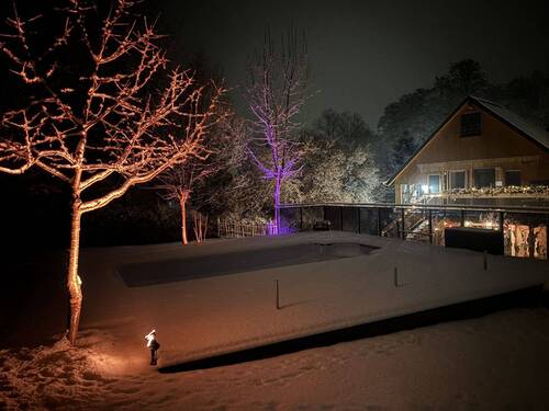 Winter - 