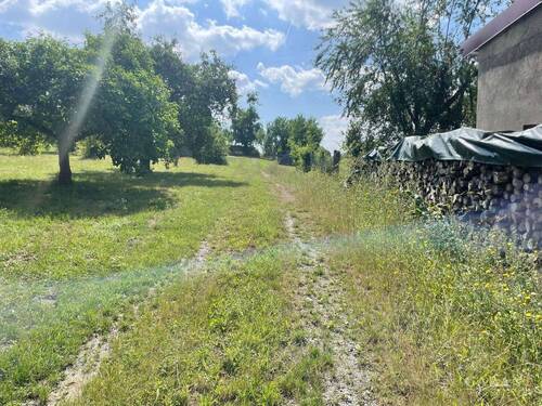 Gartenbereich - 