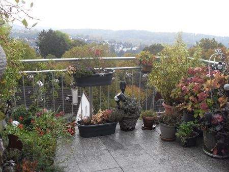 Fernblick - 