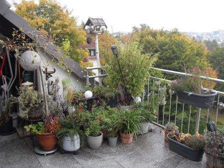 Sonnenbalkon - 