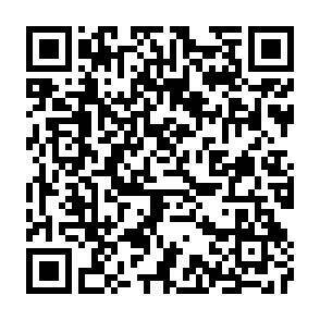 QR-Code - 