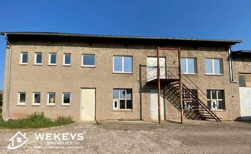 Außenansicht - Halle zur Miete in Ollendorf